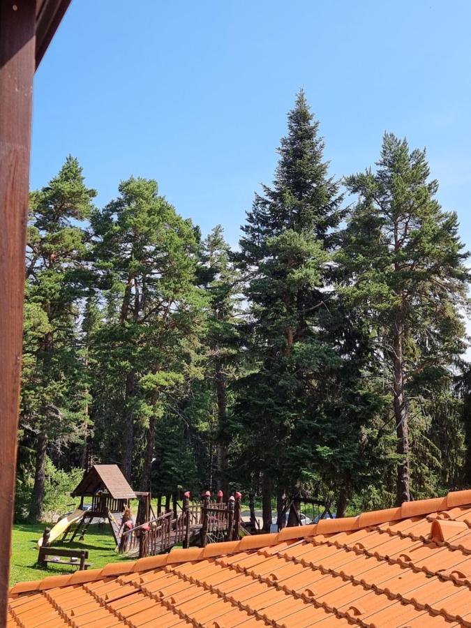 Borovets Ski&Spa Studio - Semiramida Garden A16 Екстер'єр фото